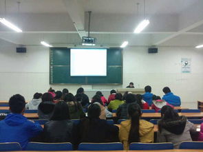 旅游管理系团总支工作技能实操培训会市场调查服务专题